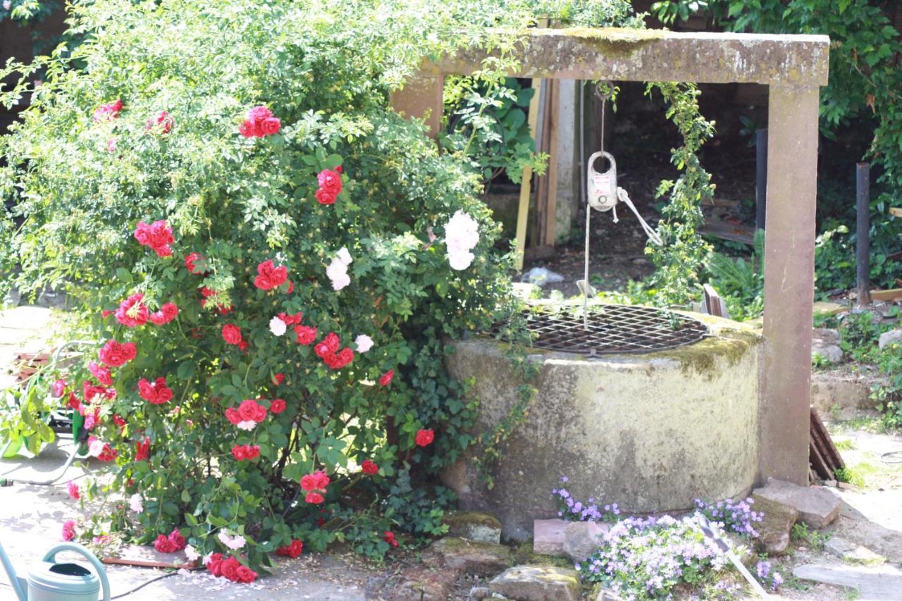 Bed and Breakfast La Grange Aux Coqs Ittenheim Екстер'єр фото